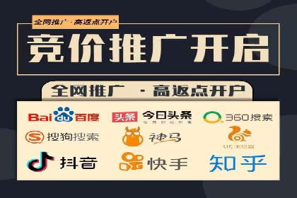 百度推广平台在电商行业的应用成功案例